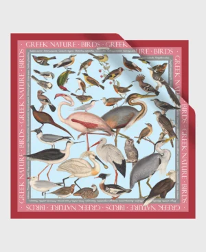 greek birds silk scarf