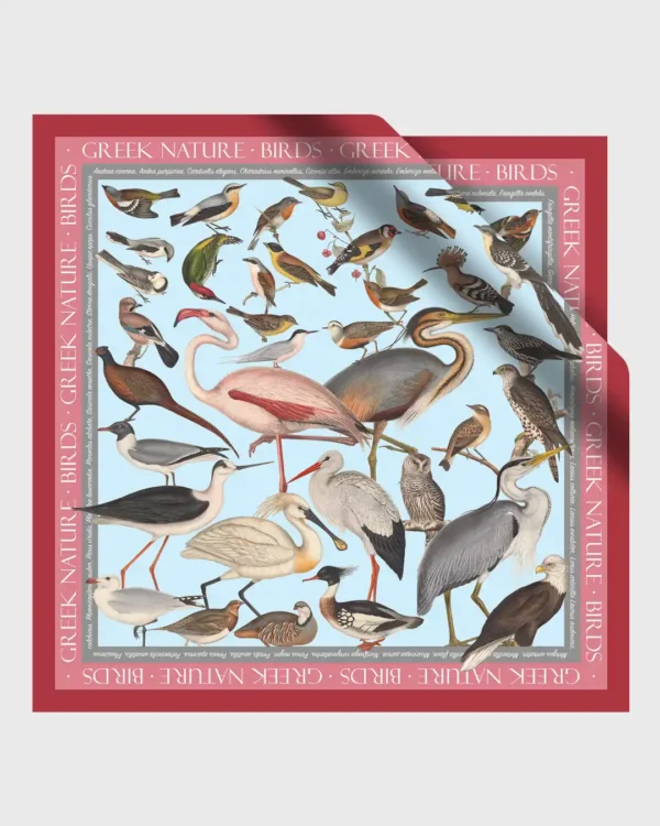 Birds of Greece Silk Scarf - Image 2