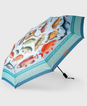 greek fish umbrella